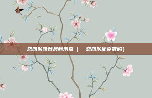 篮网队哈登最新消息(  篮网队能夺冠吗)