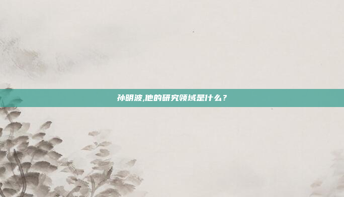 孙明波,他的研究领域是什么?
