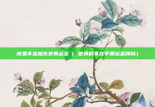库里不参加东京奥运会( 他真的不在乎奥运金牌吗)