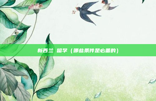 新西兰 留学(哪些条件是必备的)