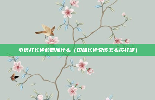 电信打长途前面加什么(国际长途又该怎么拨打呢)