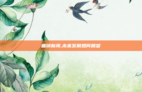 曲靖新闻,未来发展如何展望