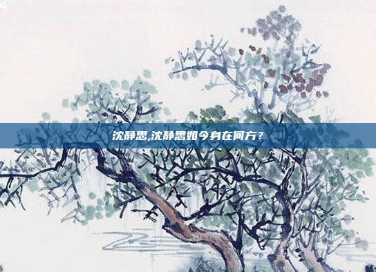 沈静思,沈静思如今身在何方?