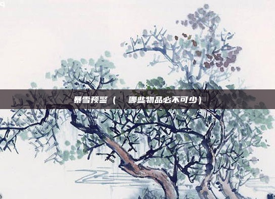 暴雪预警(  哪些物品必不可少)