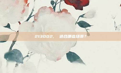 213002,  适合哪些场景？