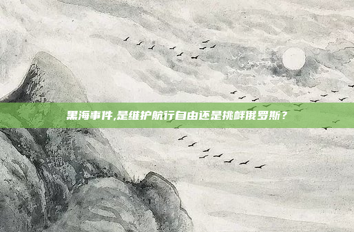 黑海事件,是维护航行自由还是挑衅俄罗斯?