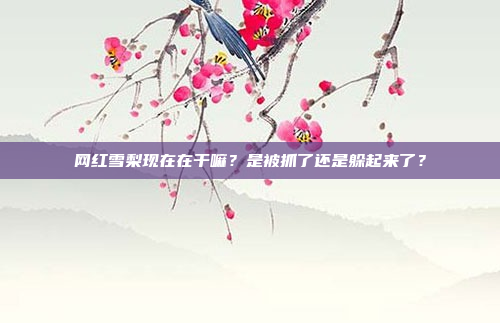 网红雪梨现在在干嘛？是被抓了还是躲起来了？