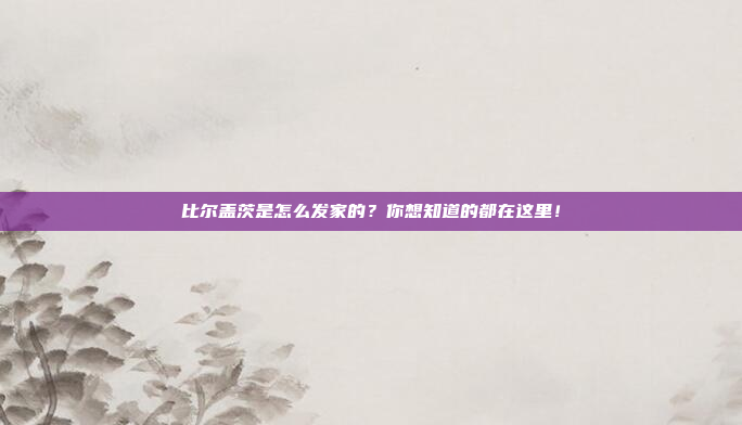 比尔盖茨是怎么发家的？你想知道的都在这里！