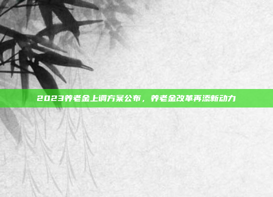 2023养老金上调方案公布,养老金改革再添新动力