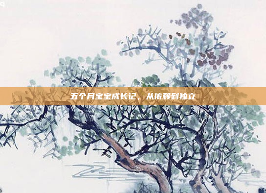 五个月宝宝成长记,从依赖到独立