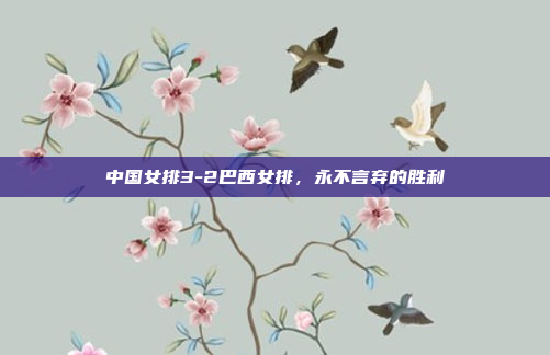 中国女排3-2巴西女排，永不言弃的胜利