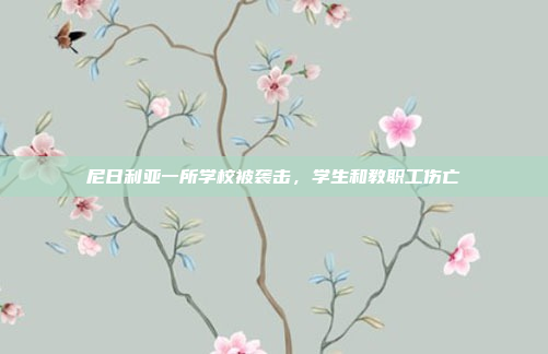尼日利亚一所学校被袭击,学生和教职工伤亡