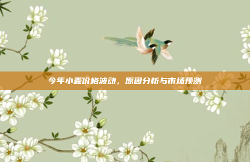 今年小麦价格波动,原因分析与市场预测