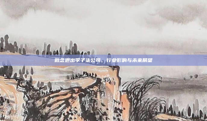 微念退出李子柒公司,行业影响与未来展望