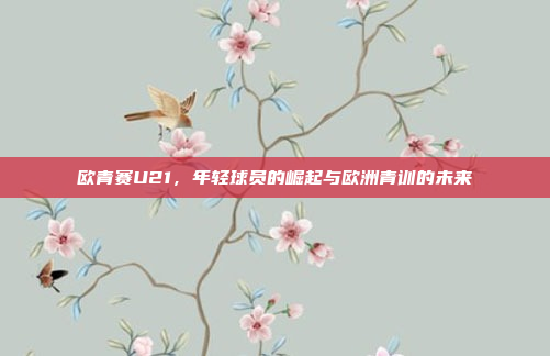 欧青赛U21,年轻球员的崛起与欧洲青训的未来
