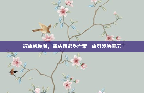 沉痛的教训,重庆姐弟坠亡案二审引发的警示