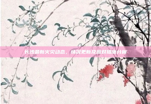 长沙最新火灾动态,情况更新及应对措施分析