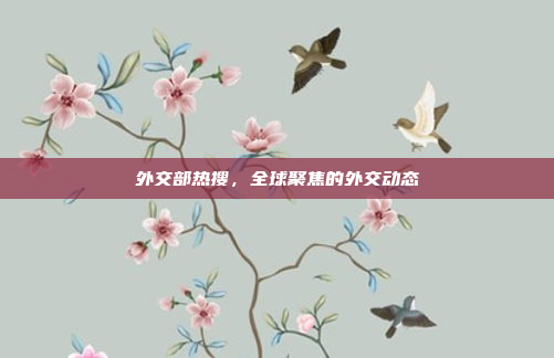外交部热搜,全球聚焦的外交动态