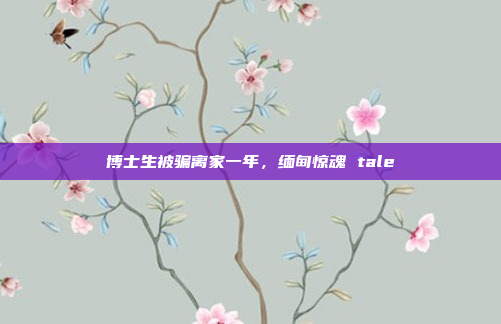 博士生被骗离家一年,缅甸惊魂 tale