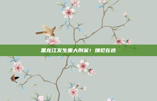 黑龙江发生重大刑案!嫌犯在逃
