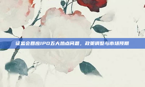 证监会回应IPO五大热点问题,政策调整与市场预期