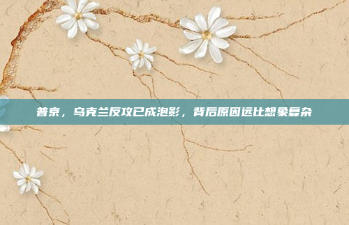 普京,乌克兰反攻已成泡影,背后原因远比想象复杂