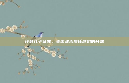 拜登儿子认罪,美国政治信任危机的开端
