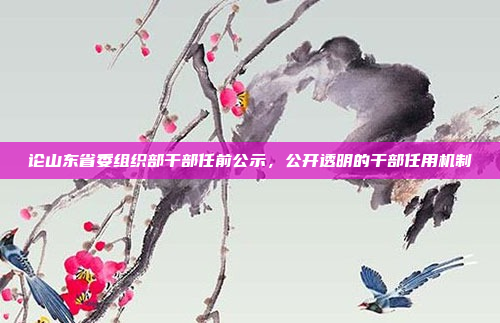 论山东省委组织部干部任前公示,公开透明的干部任用机制