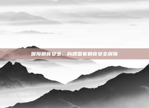 保障粮食安全，构建国家粮食安全屏障