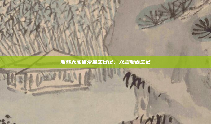 旅韩大熊猫爱宝生日记,双胞胎诞生记