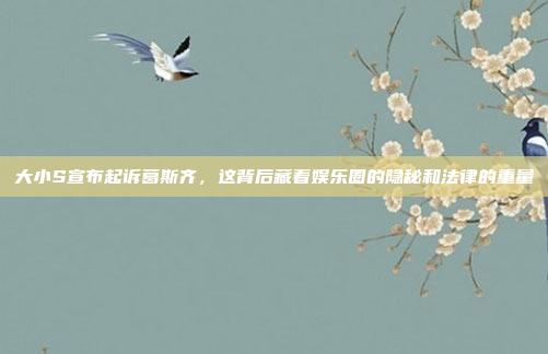 大小S宣布起诉葛斯齐,这背后藏着娱乐圈的隐秘和法律的重量