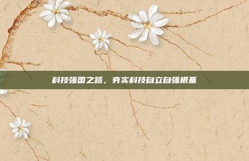 科技强国之路,夯实科技自立自强根基
