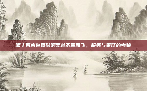 顺丰回应包裹破洞美林不翼而飞,服务与责任的考验