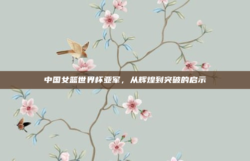 中国女篮世界杯亚军,从辉煌到突破的启示