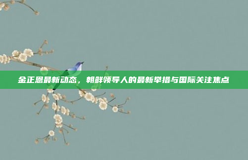 金正恩最新动态,朝鲜领导人的最新举措与国际关注焦点