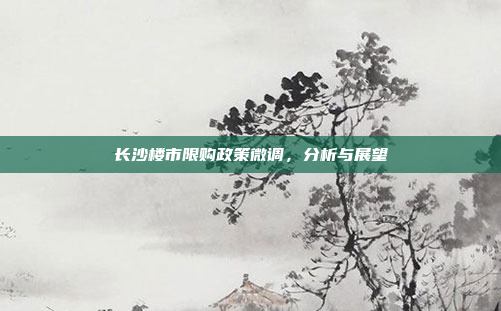 长沙楼市限购政策微调,分析与展望