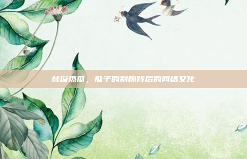林俊杰瓜,瓜子的别称背后的网络文化