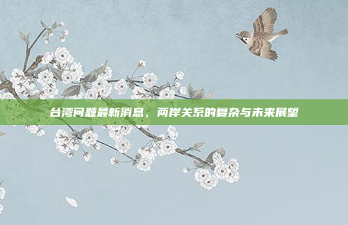 台湾问题最新消息,两岸关系的复杂与未来展望