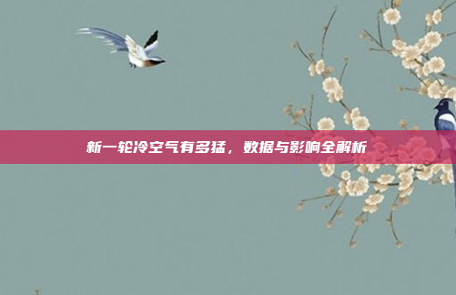 新一轮冷空气有多猛,数据与影响全解析