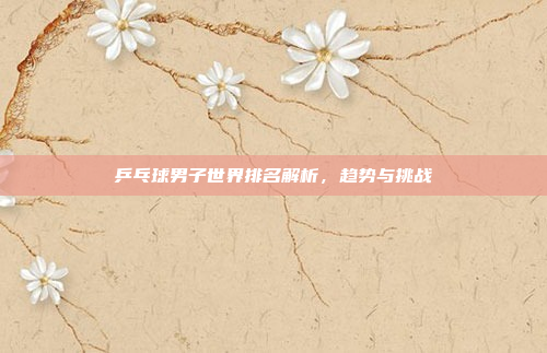乒乓球男子世界排名解析，趋势与挑战