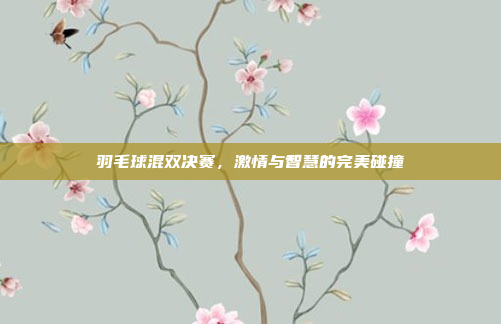 羽毛球混双决赛，激情与智慧的完美碰撞