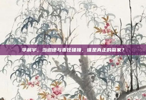 华晨宇,当道德与责任碰撞,谁是真正的赢家?