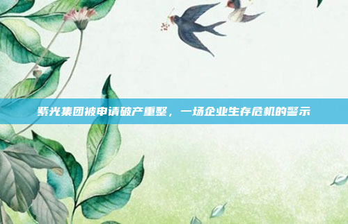 紫光集团被申请破产重整，一场企业生存危机的警示