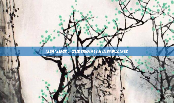 陈晓与杨蓉,戏里戏外缘分交织的演艺旅程