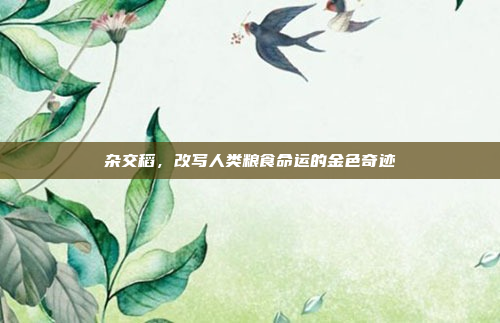 杂交稻,改写人类粮食命运的金色奇迹