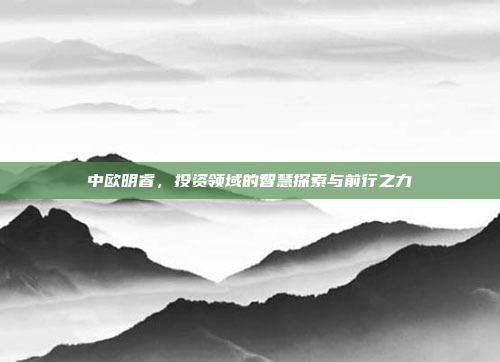 中欧明睿,投资领域的智慧探索与前行之力