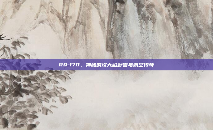 RQ-170，神秘的坎大哈野兽与航空传奇