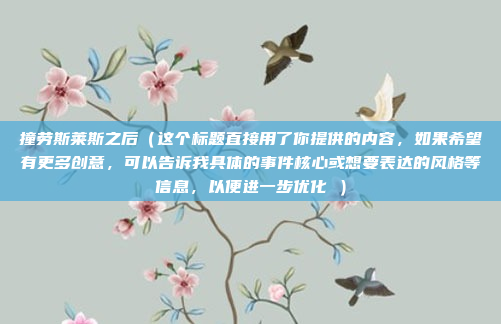 撞劳斯莱斯之后（这个标题直接用了你提供的内容，如果希望有更多创意，可以告诉我具体的事件核心或想要表达的风格等信息，以便进一步优化 ）