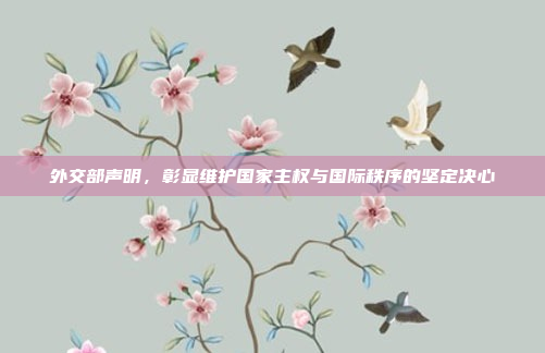 外交部声明,彰显维护国家主权与国际秩序的坚定决心