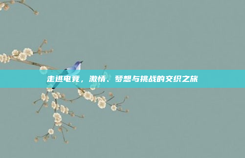 走进电竞，激情、梦想与挑战的交织之旅
